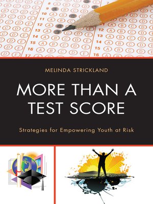 cover image of More than a Test Score